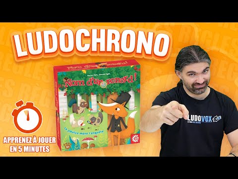 Aperçu de la vidéo Nom d'un renard ! de la chaîne Ludovox